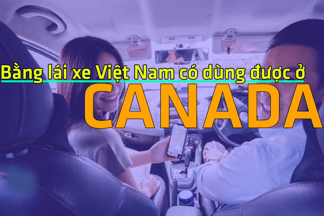 Bằng lái xe Việt Nam có dùng được ở Canada hay không